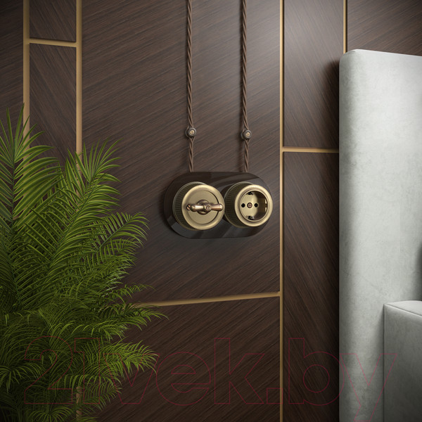 Изображение товара Розетка Werkel Ретро WL19-10-01 / a044918 (бронзовый)