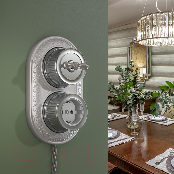 Изображение товара Розетка Werkel Ретро WL19-10-01 / a044922 (матовый хром)