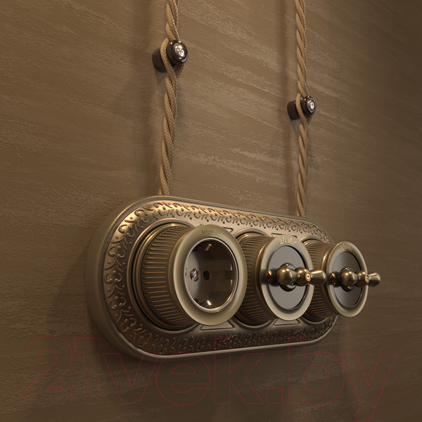 Изображение товара Розетка Werkel Ретро WL19-10-02 / a044920 (бронзовый)