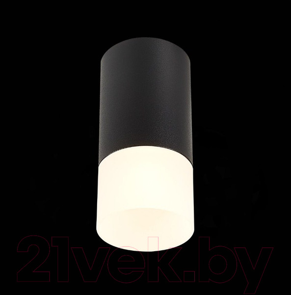 Изображение товара Потолочный светильник ST Luce ST100.412.01