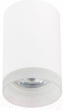 Изображение товара Потолочный светильник ST Luce ST100.502.01