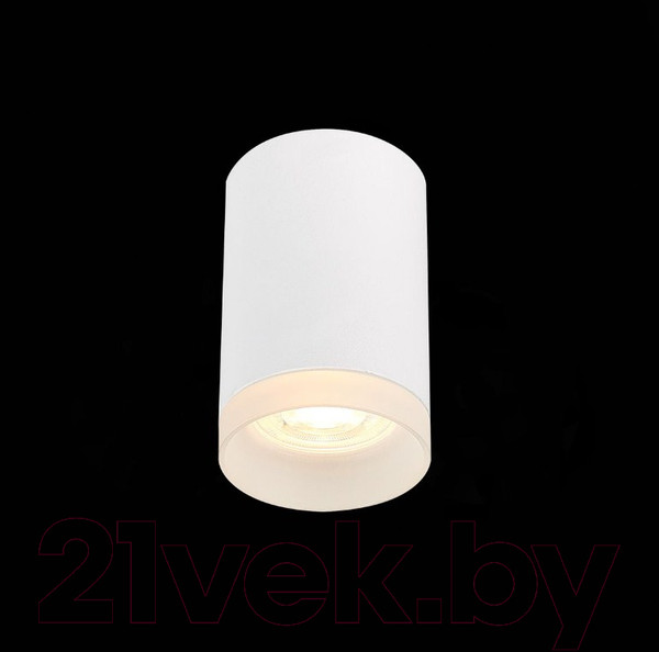 Изображение товара Потолочный светильник ST Luce ST100.502.01