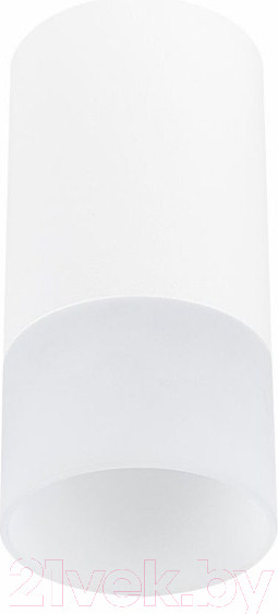 Изображение товара Потолочный светильник ST Luce ST100.512.01