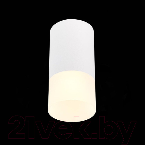 Изображение товара Потолочный светильник ST Luce ST100.512.01