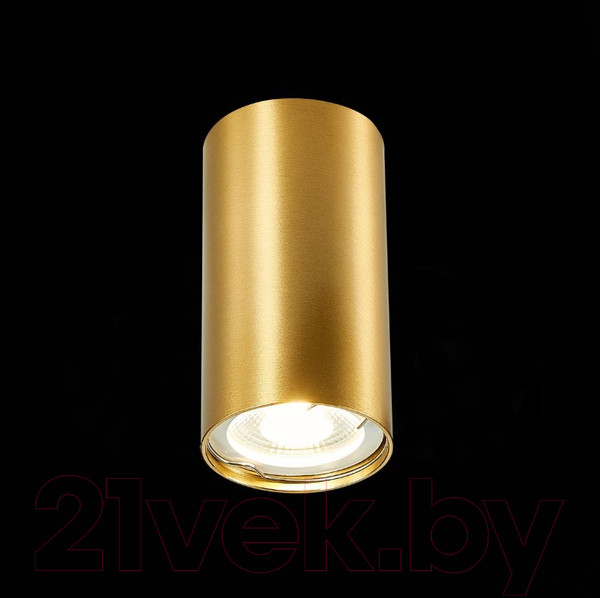 Изображение товара Потолочный светильник ST Luce ST110.207.01