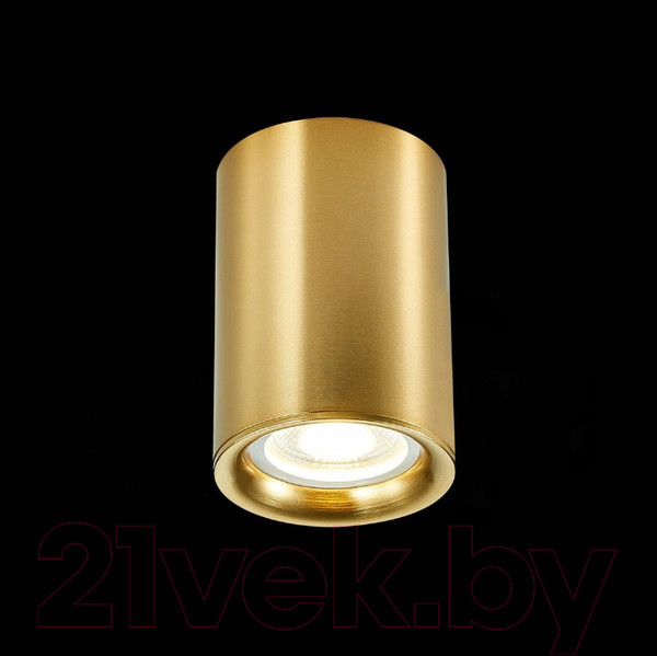 Изображение товара Потолочный светильник ST Luce ST114.207.01