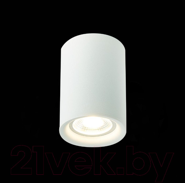 Изображение товара Потолочный светильник ST Luce ST114.507.01