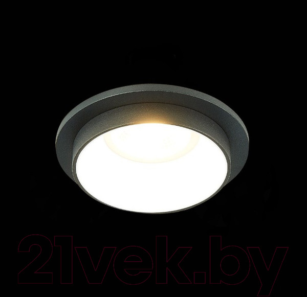 Изображение товара Точечный светильник ST Luce ST206.428.01