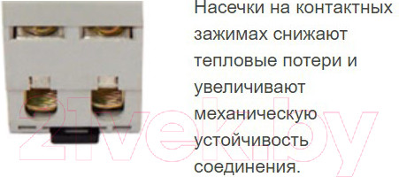 Изображение товара Устройство защитного отключения IEK ВД1-63 1ф 50А 100мА 2п / MDV10-2-050-100