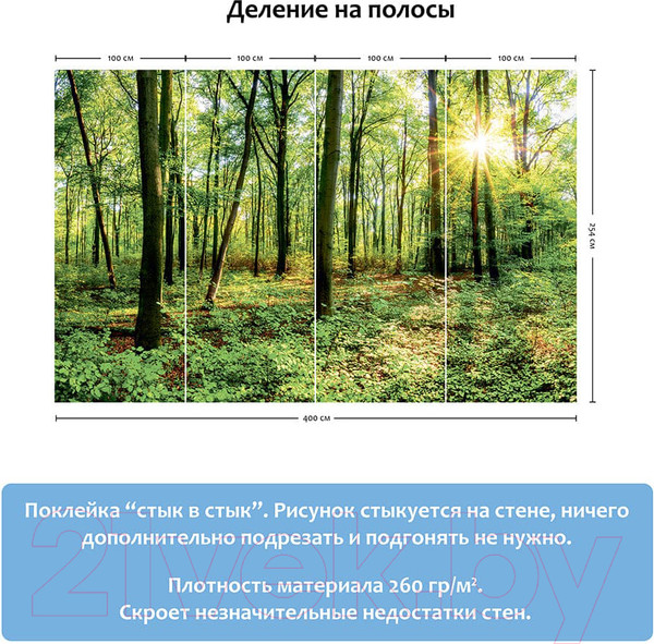 Изображение товара Фотообои листовые Citydecor Солнечный лес (400x254)