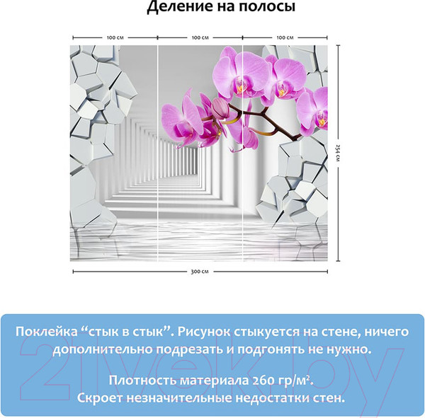 Изображение товара Фотообои листовые Citydecor Орхидея 3D (300x254)