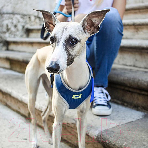 Изображение товара Шлея-жилетка для животных Ferplast Nikita P (XS, синий)