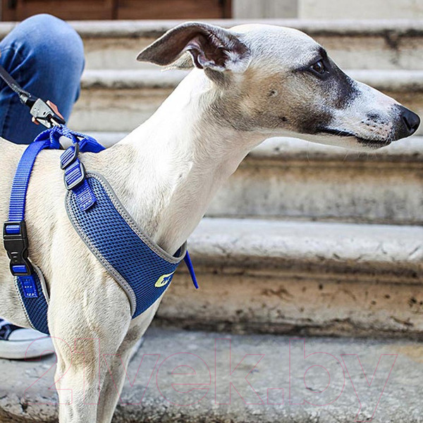 Изображение товара Шлея-жилетка для животных Ferplast Nikita P (M, синий)