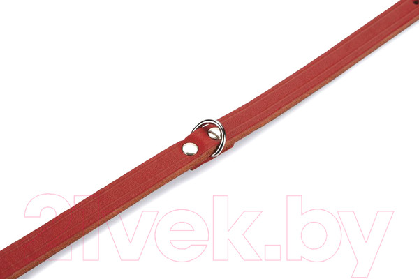 Изображение товара Ошейник Beeztees 735303 (красный)