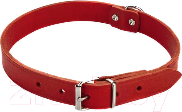 Изображение товара Ошейник Beeztees 735307 (красный)