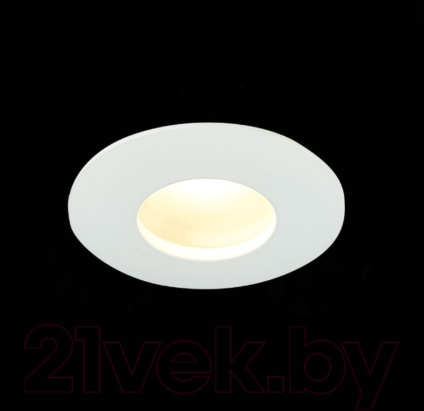 Изображение товара Точечный светильник ST Luce ST213.508.01