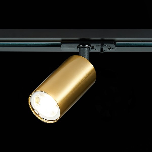 Изображение товара Трековый светильник ST Luce ST300.206.01