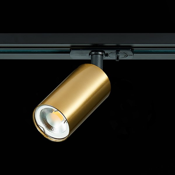 Изображение товара Трековый светильник ST Luce ST300.206.01