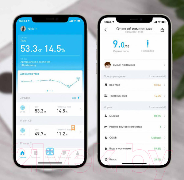Изображение товара Напольные весы электронные Picooc Mini Lite (черный)