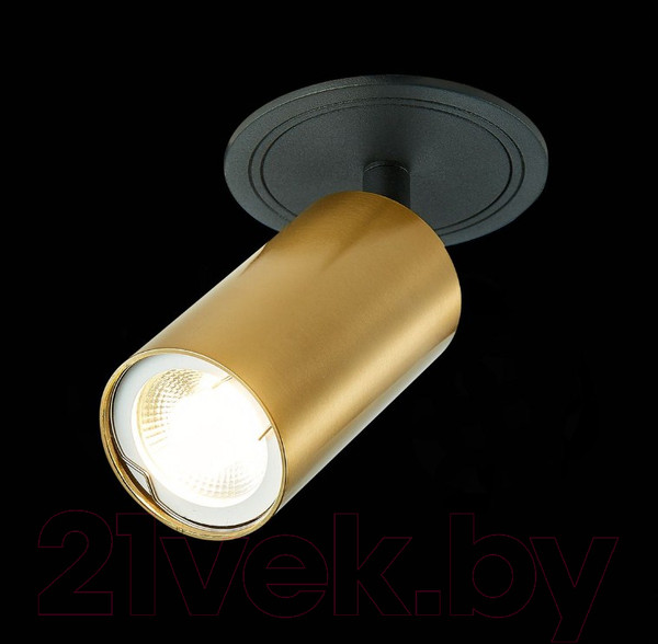 Изображение товара Точечный светильник ST Luce ST303.208.01
