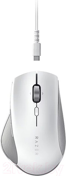 Изображение товара Мышь Razer Pro Click (RZ01-02990100-R3M1)