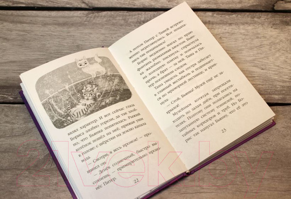 Изображение товара Книга Эксмо Ночевка с грабителями. Выпуск 1 (Вебб Х.)