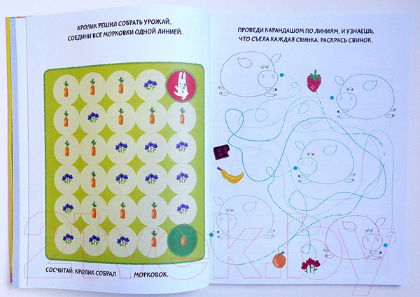 Изображение товара Раскраска МИФ Цветные выходные. Чем заняться в ясный день (Голдинг Э.)