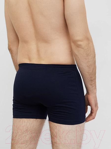 Изображение товара Трусы мужские Mark Formelle 411152 (р.110-120, темно-синий)