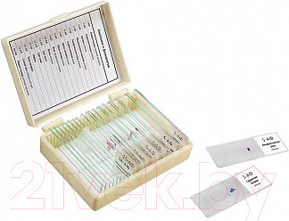 Изображение товара Набор микропрепаратов Микромед Анатомия и физиология / 22750