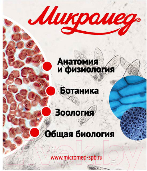 Изображение товара Набор микропрепаратов Микромед №80 / 23319