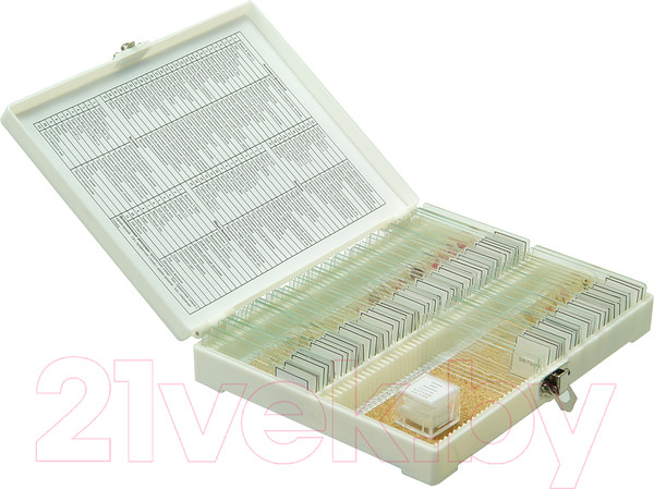 Изображение товара Набор микропрепаратов Микромед №80 / 23319