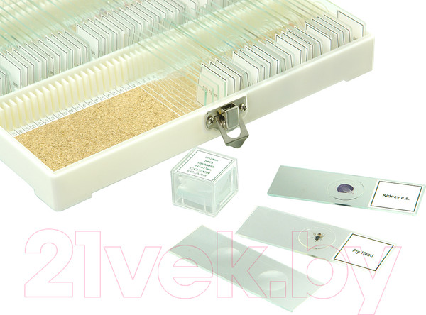 Изображение товара Набор микропрепаратов Микромед №80 / 23319