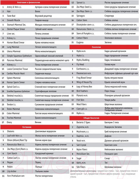 Изображение товара Набор микропрепаратов Микромед №80 / 23319