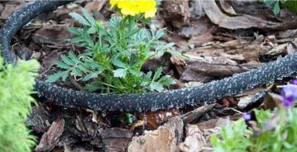 Изображение товара Шланг сочащийся Bradas Aqua-Drop 1/2 / WAD1/2100 (100м)