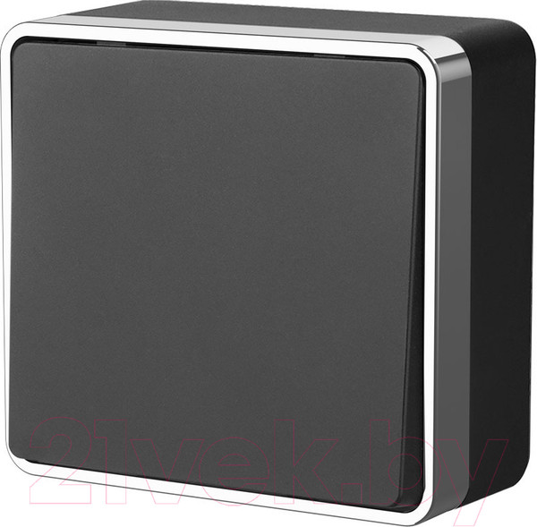 Изображение товара Выключатель Werkel Gallant W5012035 (черный/хром)