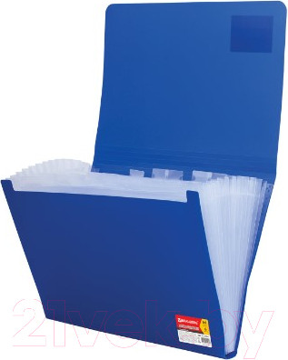 Изображение товара Папка для бумаг Brauberg Business / 224144 (синий)