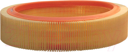 Изображение товара Воздушный фильтр Filtron AR229