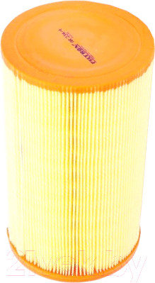 Изображение товара Воздушный фильтр Filtron AR234/4