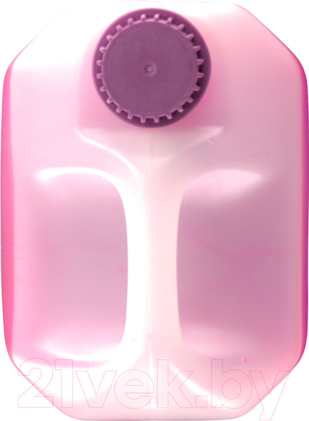 Изображение товара Антифриз Febi Bilstein G13 концентрат / 38201 (5л, фиолетовый)