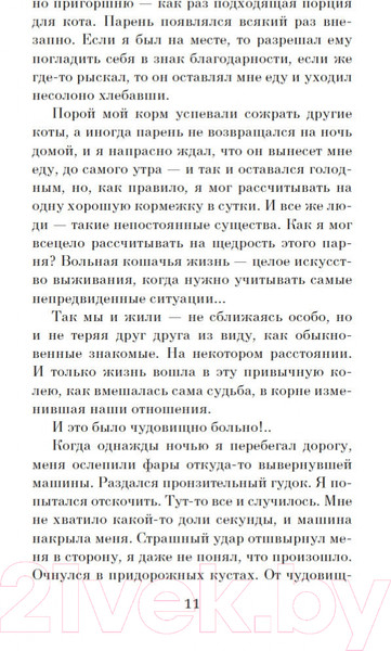 Изображение товара Книга Азбука Хроники странствующего кота. Мягкая обложка (Арикава Х.)