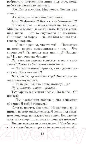 Изображение товара Книга Азбука Хроники странствующего кота. Мягкая обложка (Арикава Х.)