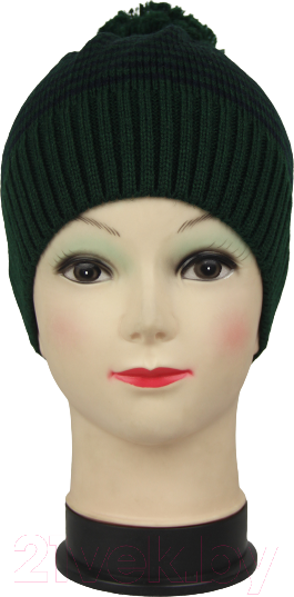 Изображение товара Шапка детская Polesie 6С0841-Д43 (темная зелень, р. 53)
