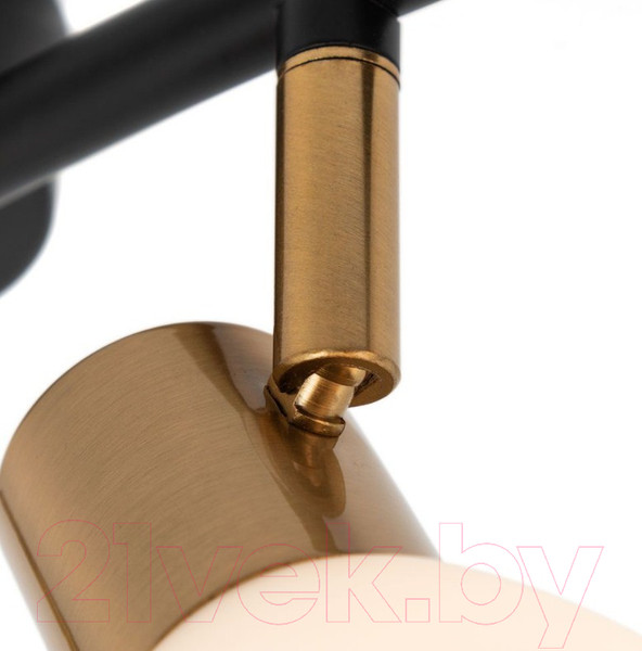 Изображение товара Спот Arte Lamp Falena A3117PL-4BK