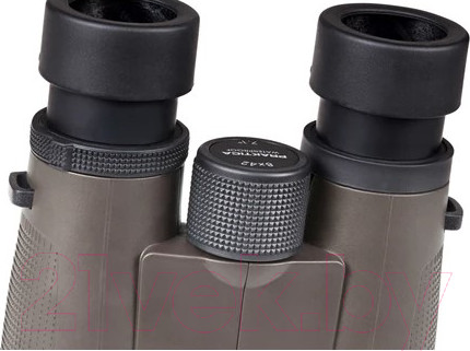 Изображение товара Бинокль Praktica Pioneer R 10x42 / PRA244 (умбра)