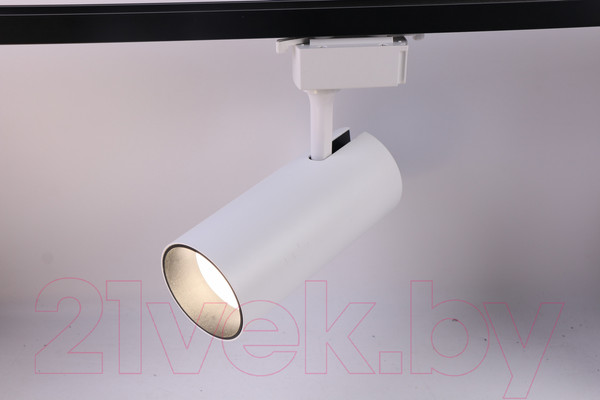 Изображение товара Трековый светильник ЭРА TR5-30 COB WH / Б0049054 (белый)