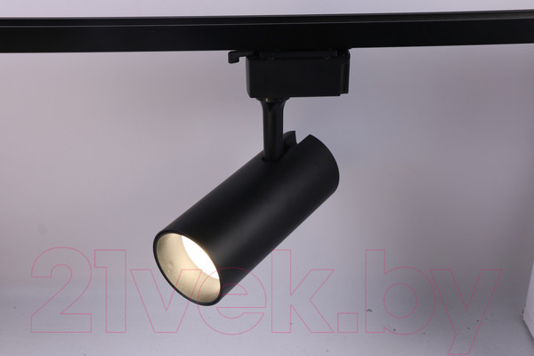 Изображение товара Трековый светильник ЭРА TR5-20 COB BK / Б0049053 (черный)