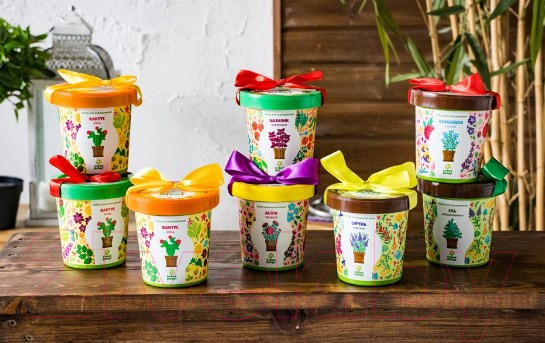 Изображение товара Набор для выращивания растений Happy Plant Анютины глазки / hpn-9