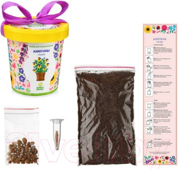 Изображение товара Набор для выращивания растений Happy Plant Анютины глазки / hpn-9