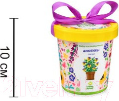 Изображение товара Набор для выращивания растений Happy Plant Анютины глазки / hpn-9
