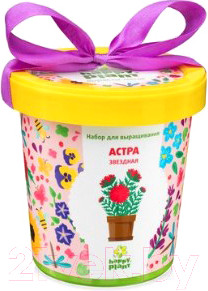 Изображение товара Набор для выращивания растений Happy Plant Астра звездная / hpn-6